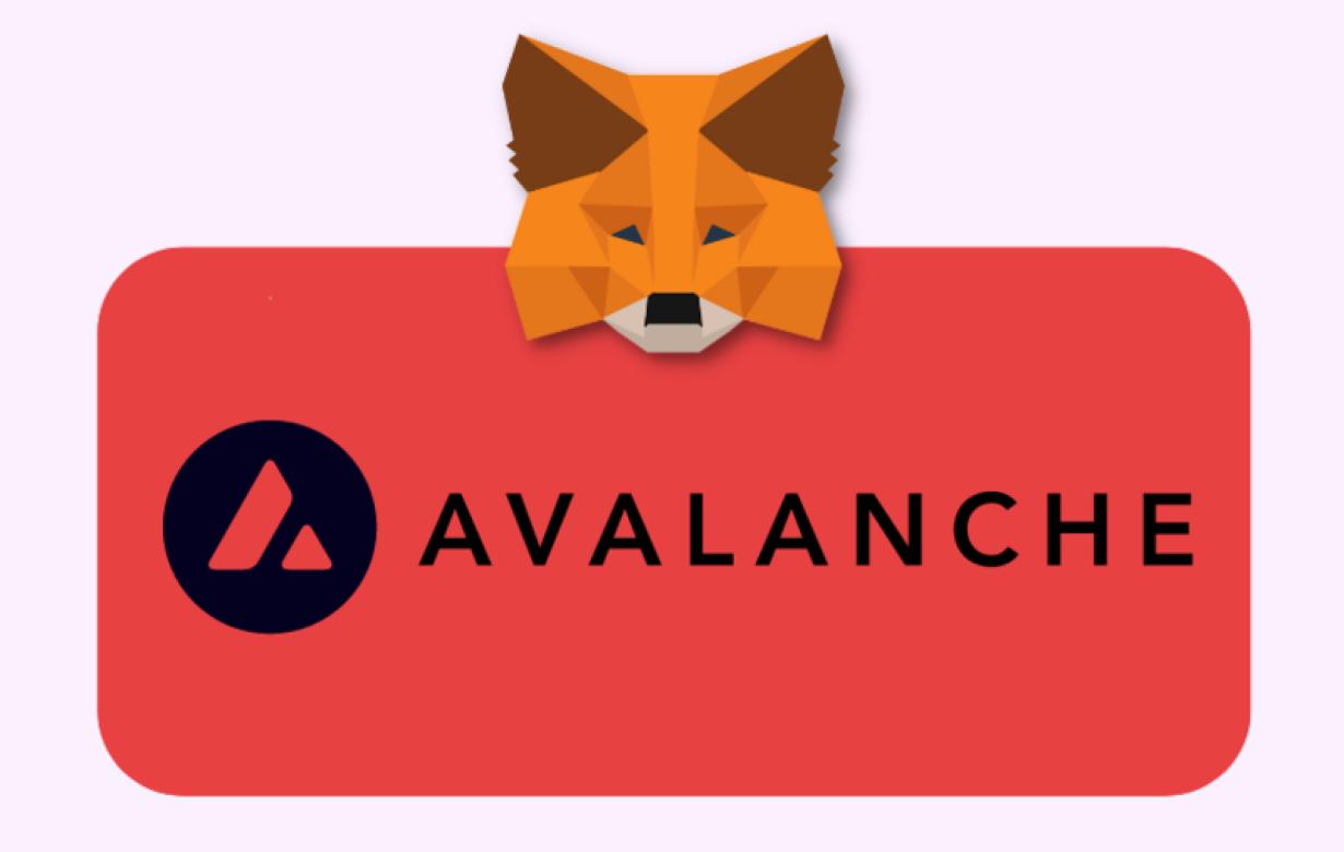 Add Avalanche support to your 